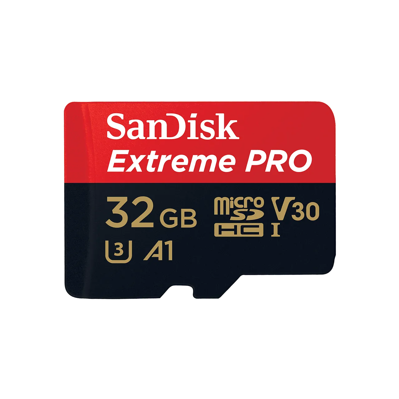 Scheda MicroSD da 32 GB